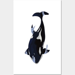 Orca Diving Posters and Art